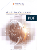 NKG - BCTC Hop Nhat Kiem Toan Nam 2022 PDF
