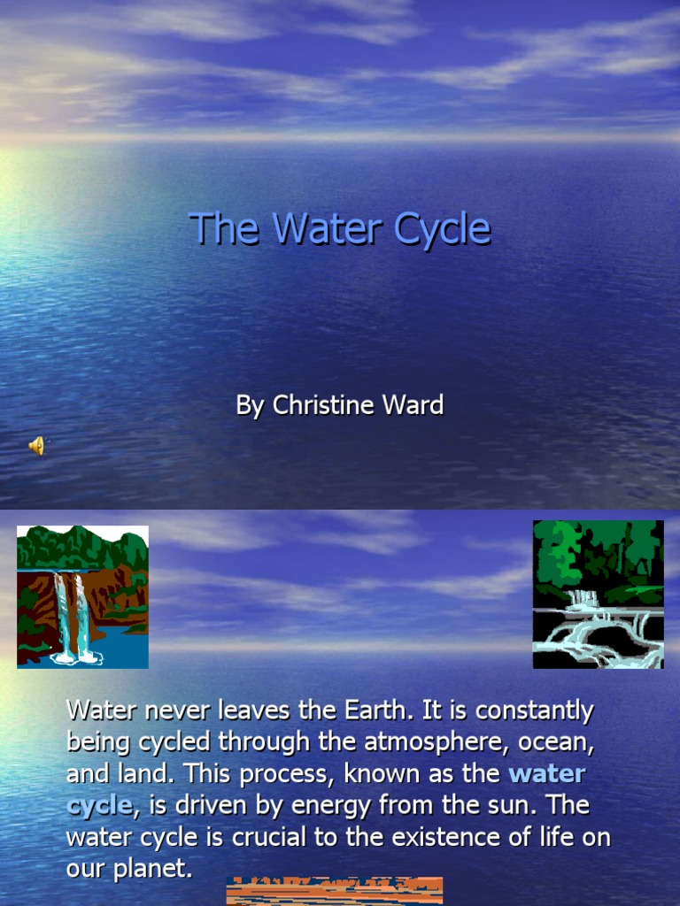 Water Cycle PDF