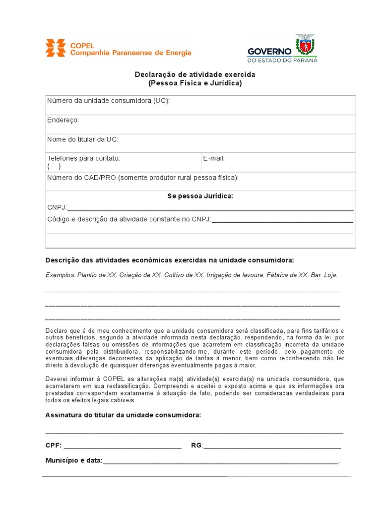 Declara o de atividade exercida pdf pdf