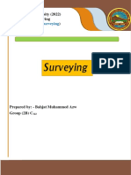 Surveying PDF