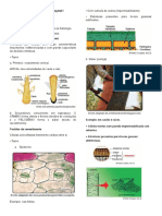 12 Aula - FISIOLOGIA VEGETAL