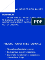 Cell Injury-2