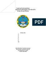 Format Laporan Kewirausahaan p5