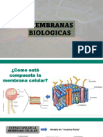 Clase 5 - Membranas Biológicas PDF