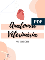 Anatomia Completa PDF