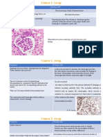 Histopathology - c4 - Adaptations of Cellular Growth and Differentiation - Master