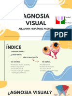 Agnosia Visual PYA PDF