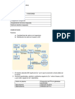 Calcio, Fosfato y Magnesio PDF