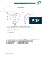 Samenvatting Biomechanica Ilium