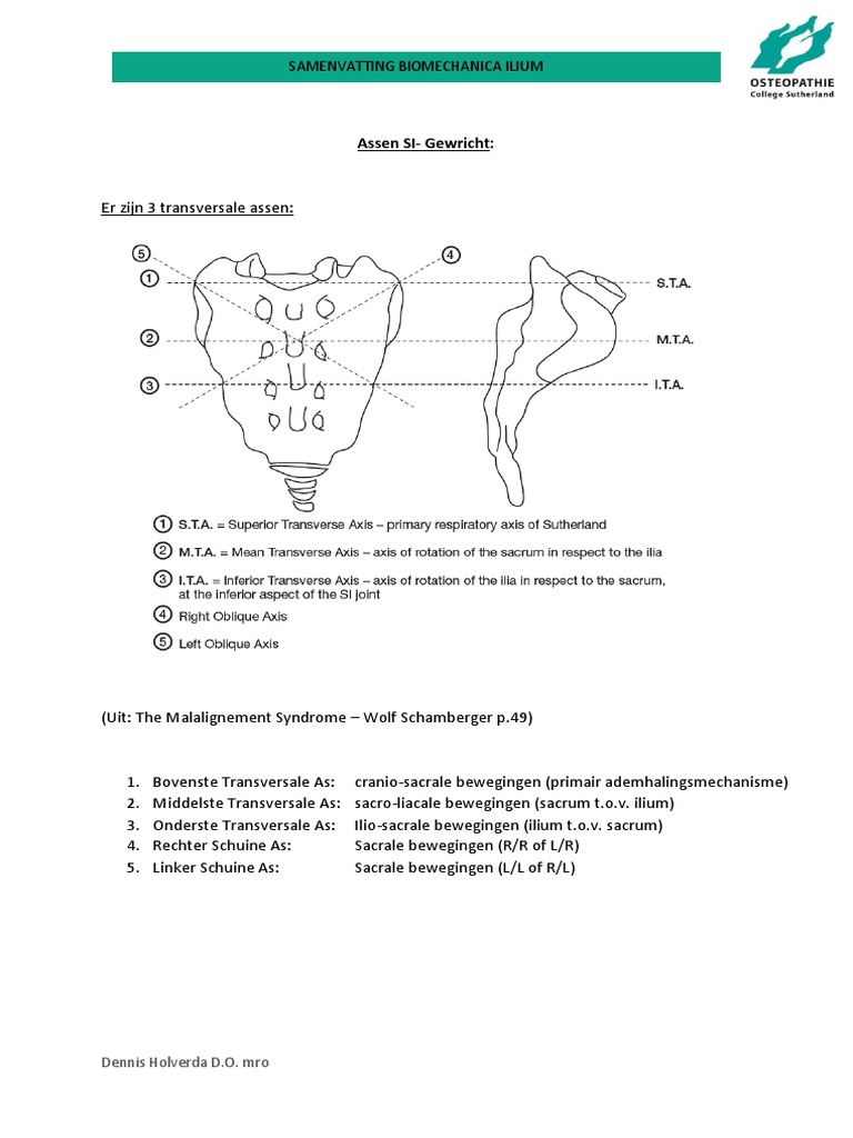 Samenvatting Biomechanica Ilium | PDF
