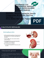 Presentación 2 Quirurgica Equipo 7 Alina 4 PDF