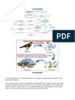 ECOSISTEMA Material