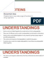 IB Biology SL 2.4 - PROTEINS