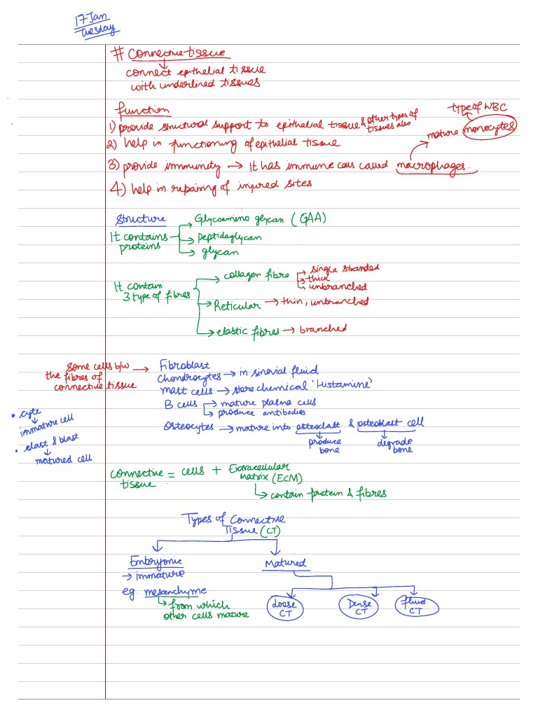 HAP Anoop Sir PDF | PDF