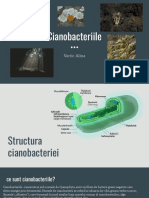 Cianobacteriile Si Bacteriile PDF
