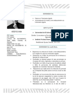 Ejemplo CV