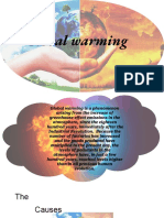 Causes & Effects of Global Warming