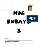 Mini Ensayo N°3