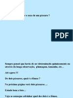 Como Determinar o Sexo de Um Pássaro ? Sempre