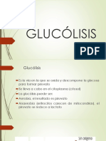 Glicólisis, Gluconeogénesis, CK, Glucogenólisis, Glucogénesis PDF