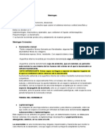 Resumen Exposición Anatomía PDF