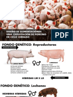 Diseño de Alimentación de Una Explotación de Porcino en Ciclo Cerrado PDF