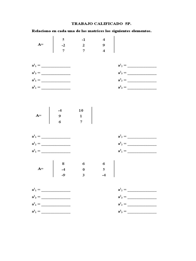 TRABAJO CALIFICADO 5P MATRICES.docx | PDF