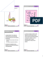 LiberacionTema26 05 PDF