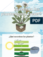 Presentacion Que Necesitan Las Plantas
