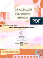 Los Músculos Del Cuerpo Humano PDF