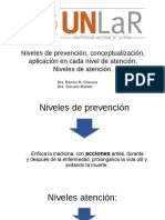 Niveles de Prevencion