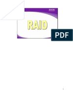 raid