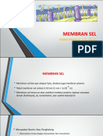 Membran Sel - PDF