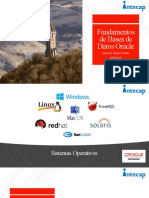 Fundamentos de Oracle - PPSX