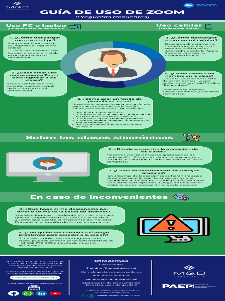 Infografía Zoom | PDF