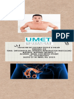 Infografia Del Aprato Reproductor Masculino PDF