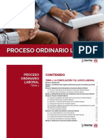 Proceso Laboral PDF