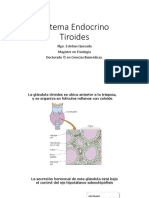 Tiroides 2023 PDF