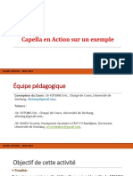 Exploitation de Capella Sur Un Exemple de Modélisation PDF
