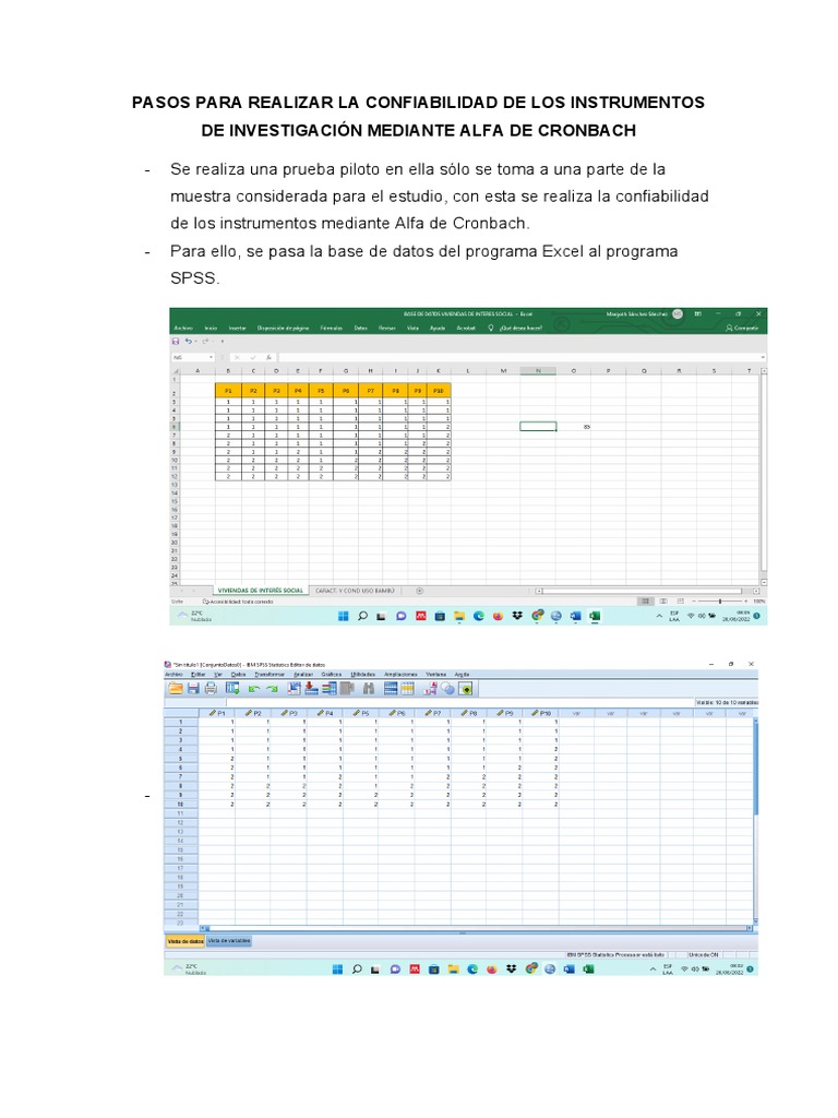 confiabilidad-alfa-de-cronbach-pdf