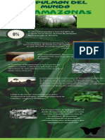El Pulmon Del Mundo - Infograma Ii PDF