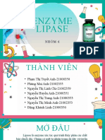 Hóa sinh thực phẩm Lipase