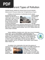 Different Types of Pollution, English Essay, Project 2