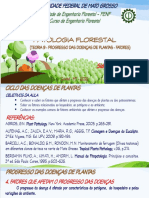 PF 22 - 1 - T09 - ProgressoDoenças - 2 - Fatores PDF