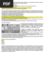 Atividades Antiguidade Oriental - Gabarito PDF
