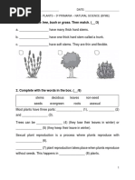 CBSE Class 2 EVS Practice Worksheets (18) - Plants | PDF | Plants | Trees