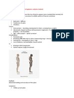 Describe and Briefly Explain Kyphosis