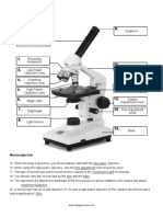 AnaPhy Microscope Labeling