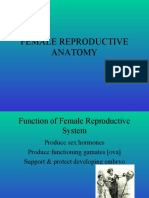 Female Reproductive Anatomy