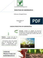 Aula SENAR - Cadeias Produtiva PDF